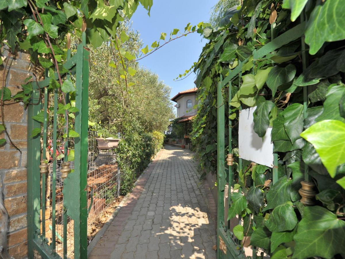 Alice Wonderland Home Nea Flogita Halkidiki Luaran gambar